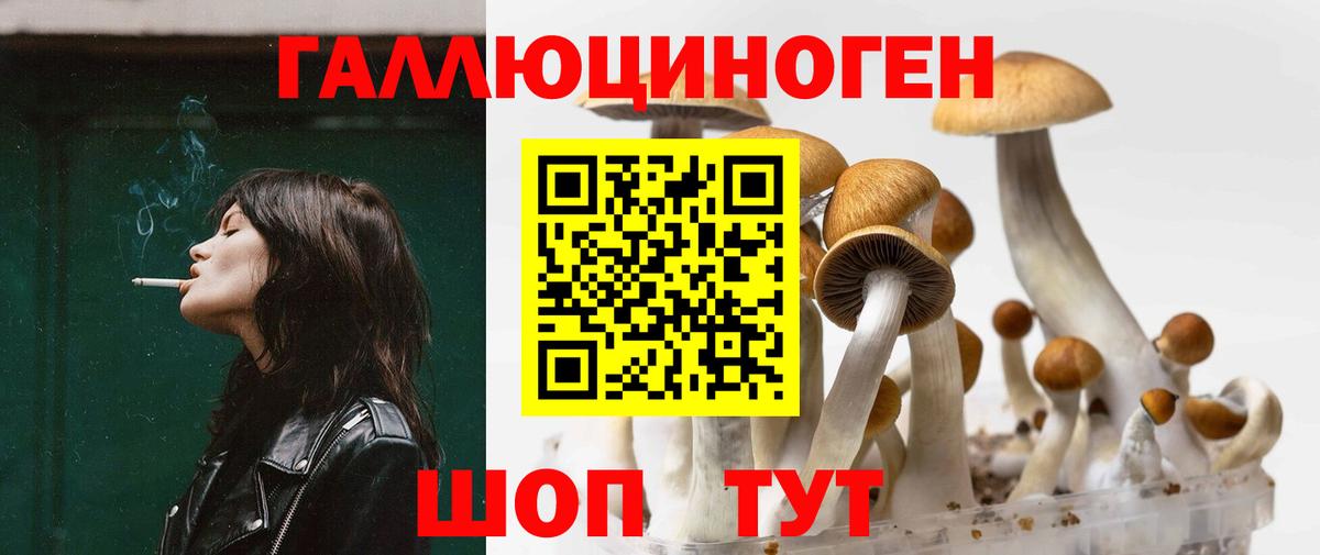 Балашиха  Галлюциногенные грибы ЛСД  Псилоцибиновые грибы GOLDEN TEACHER  Вход с VPN 
